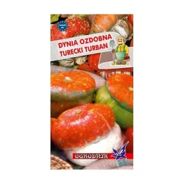 dynia-ozdobna-turecki-turban-2g-o