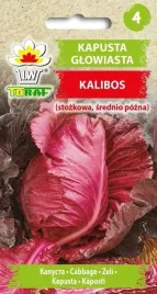 kapusta-czerwona-stozkowa-kalibos-1g-t