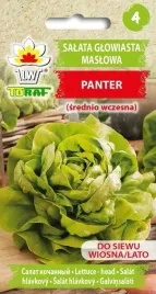 salata-maslowa-panter-1g-t