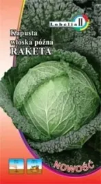 kapusta-wloska-raketa-2-2g-l
