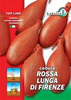 cebula-rossa-lunga-di-firenze-2g-l