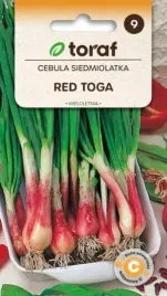 cebula-siedmiolatka-red-toga-1g-t