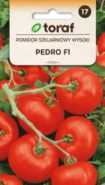pomidor-szklarniowy-pedro-f1-02g-t