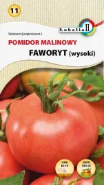 pomidor-gruntowy-faworyt-05g-l