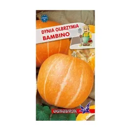 dynia-olbrzymia-bambino-nasiona-3g-o