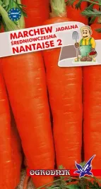marchew-nantaise-2-sredniowczesna-5g-o