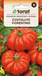 pomidor-gruntowy-costoluto-fiorentino-03g-t