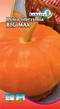 dynia-big-max-2g-l