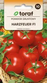 pomidor-gruntowy-harzfeuer-03g-t