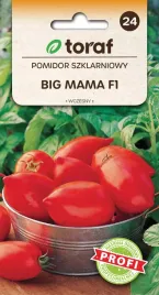 pomidor-szklarniowy-big-mama-f1-20-szt-t