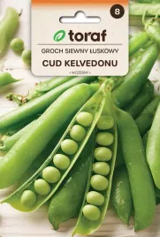 groch-siewny-cud-kelvedonu-50g-t