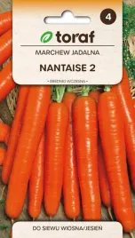 marchew-nantaise-2-5g-t