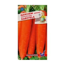 marchew-karotina-sredniowczesna-5g-o