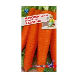 marchew-karotina-sredniowczesna-5g-o