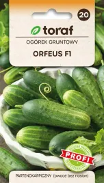 ogorek-orfeus-f1-2g-t