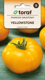 pomidor-gruntowy-yellowstone-03g-t