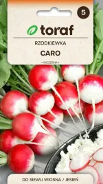 rzodkiewka-caro-10g-t