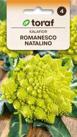 kalafior-romanesco-natalino-1g-t