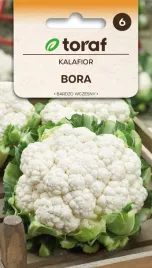 kalafior-bora-1g-t