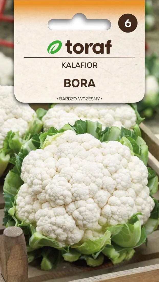 kalafior-bora-1g-t