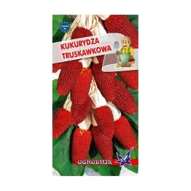 kukurydza-ozdobna-truskawkowa-2g-o