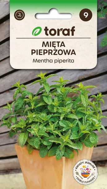 mieta-pieprzowa-01g-t