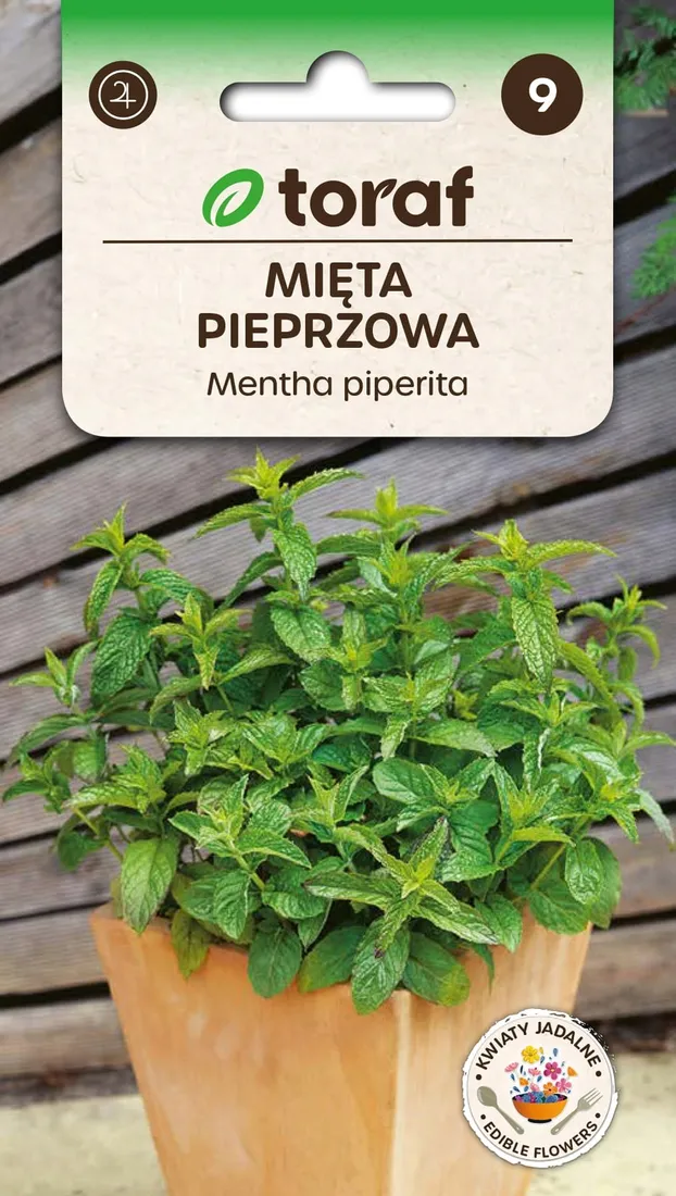 mieta-pieprzowa-01g-t