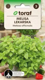 melisa-lekarska-05g-t