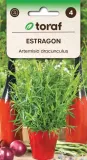 estragon-01g-t