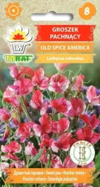 groszek-pachnacy-old-spice-america-1g-t