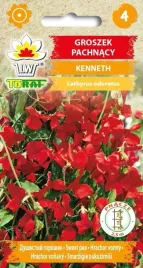 groszek-pachnacy-kenneth-1g-t