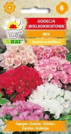 godecja-wielkokwiatowa-mix-1g-t