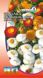 kocanka-ogrodowa-mix-1g-l