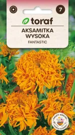 aksamitka-fantastic-05g-t