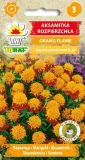 aksamitka-orange-flame-1g-t