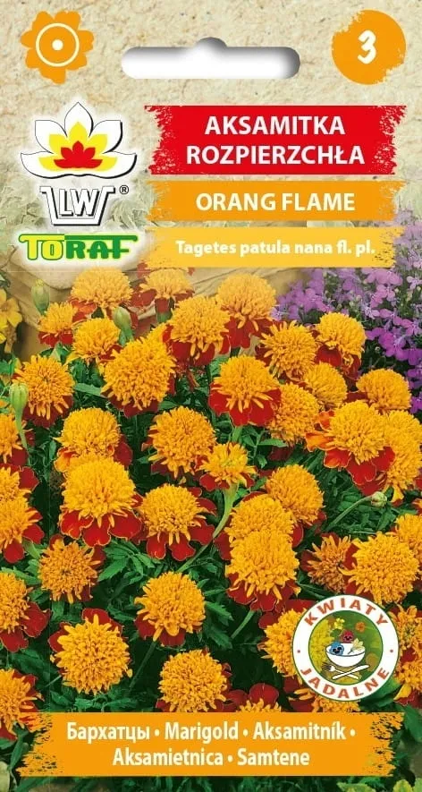 aksamitka-orange-flame-1g-t
