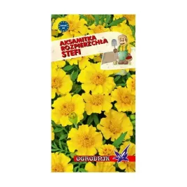aksamitka-rozpierzchla-stefi-1g-o
