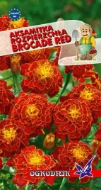 aksamitka-rozpierzchla-brocade-red-1g-o