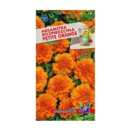 aksamitka-rozpierzchla-petite-orange-1g-o
