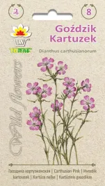 gozdzik-kartuzek-02-g-nasiona-t