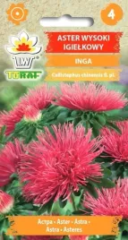 aster-igielkowy-wysoki-inga-1g-t