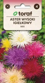 aster-igielkowy-mix-1g-t