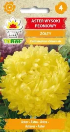 aster-peoniowy-zolty-1g-t