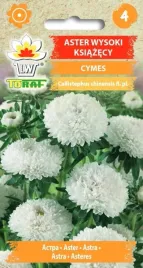aster-ksiazecy-cymes-bialy-1g-t
