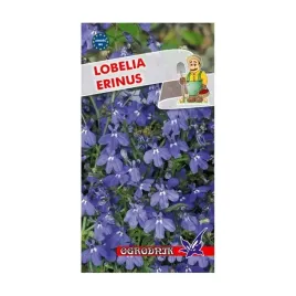 lobelia-zwisajaca-niebieska-erinus-2g-o