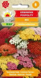 krwawnik-pospolity-mix-02g-t