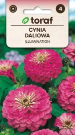 cynia-daliowa-illumination-1g-t