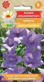 rozwar-wielkokwiatowy-02g-t