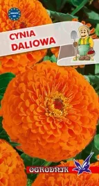 cynia-daliowa-pomaranczowa-1g-o