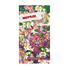 motylek-05g-o